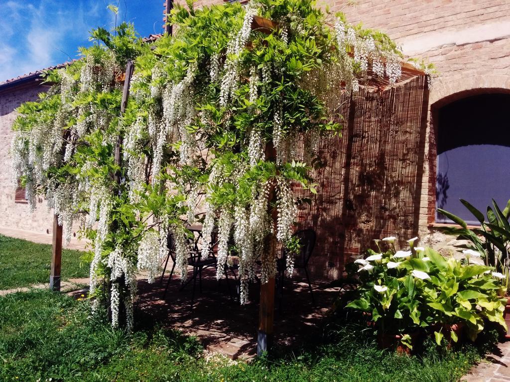 Willa La Fornace Di San Galgano Frosini Zewnętrze zdjęcie
